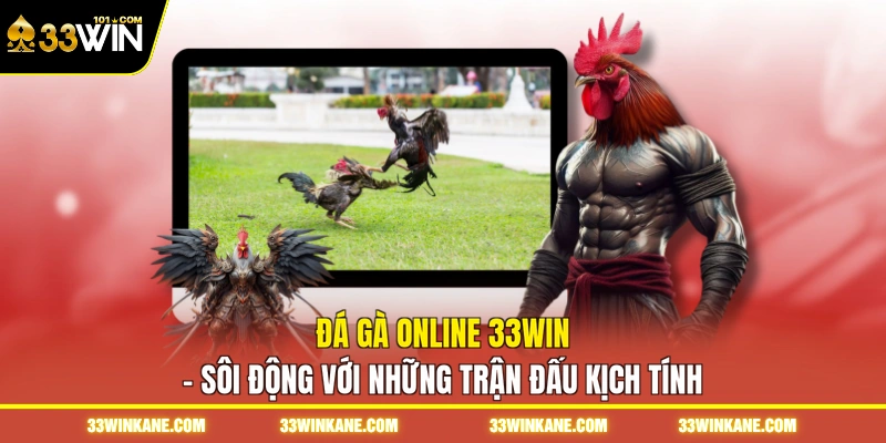 Đá Gà Online 33WIN - Sôi Động Với Những Trận Đấu Kịch Tính