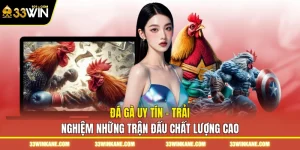 Đá Gà Uy Tín - Trải Nghiệm Những Trận Đấu Chất Lượng Cao