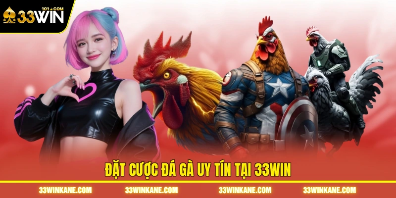 Đặt cược đá gà uy tín tại 33WIN