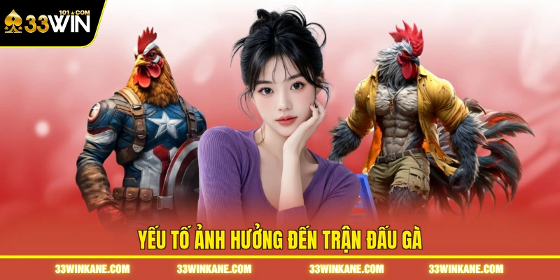 Yếu tố ảnh hưởng đến trận đấu gà